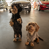 Trude & Fritz